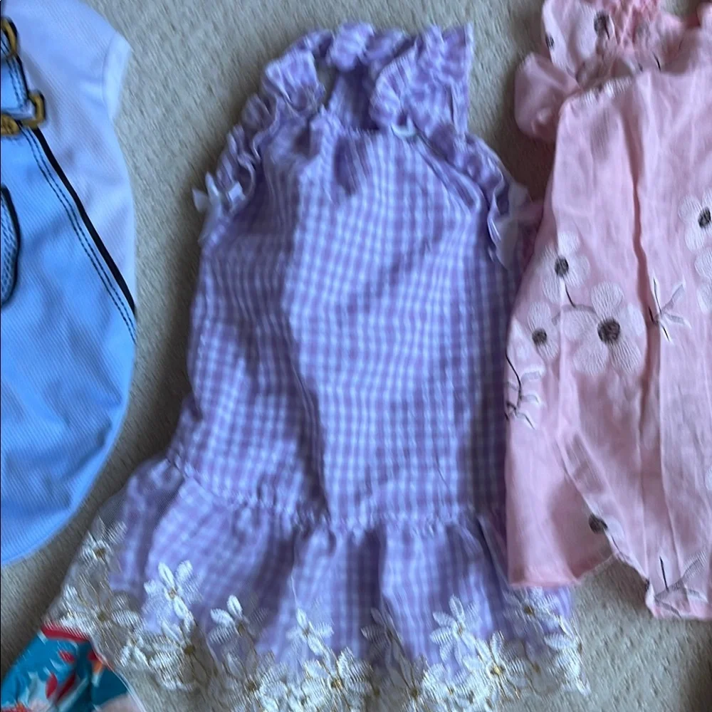 Bundle of Assorted Dog Dresses and Outfits